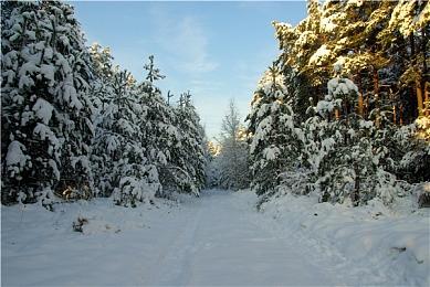 男性向恋爱真人互动影游《我和七个俏房客》Steam页面 发售日待定