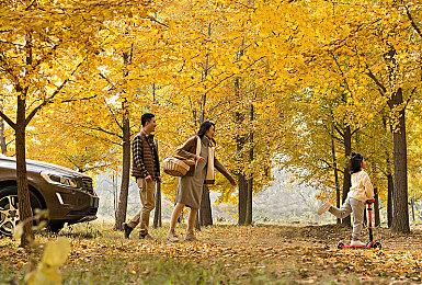 一代神机！外媒精选Xbox360十五款大作